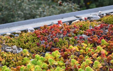 the cost of Dornie green roof installation