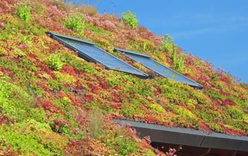 Dornie living roof systems