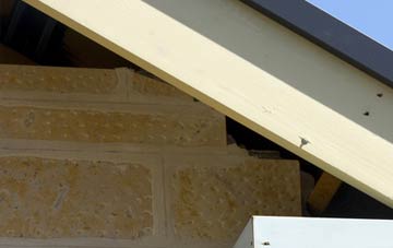 soffit repair Dornie